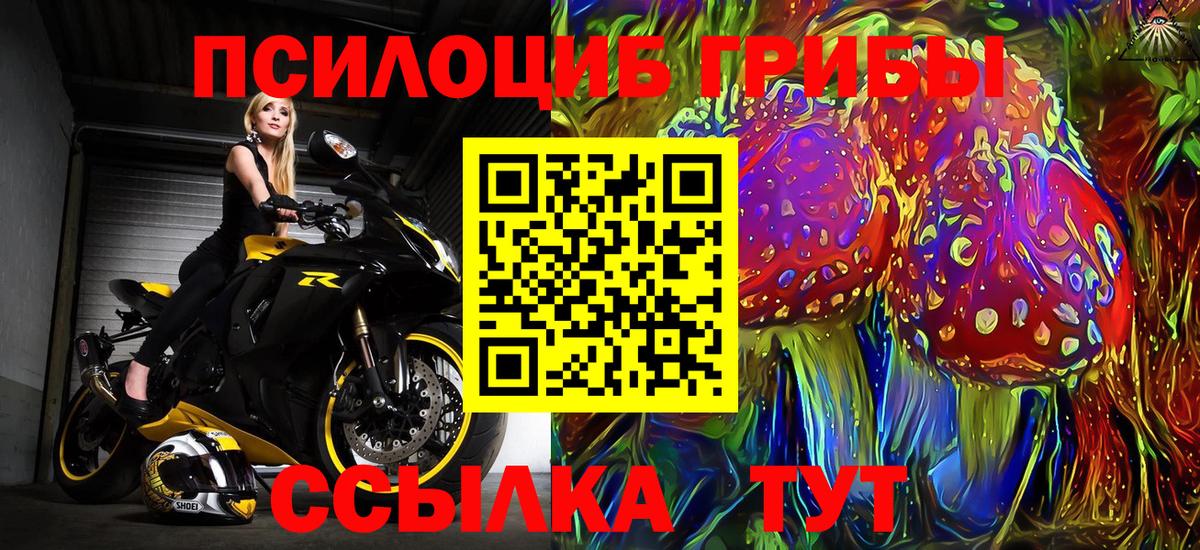 Псилоцибиновые грибы ЛСД Балашов